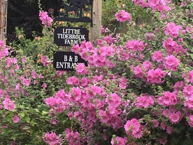Little Tidebrook Farm Bed & Breakfast Wadhurst Luaran gambar